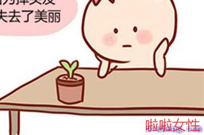 自体毛发移植手术优势 自体毛发移植可以做哪些部位